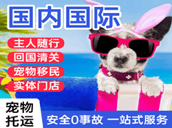 滨海空运公司国际宠物托运 【国